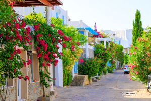 Bodrum homes